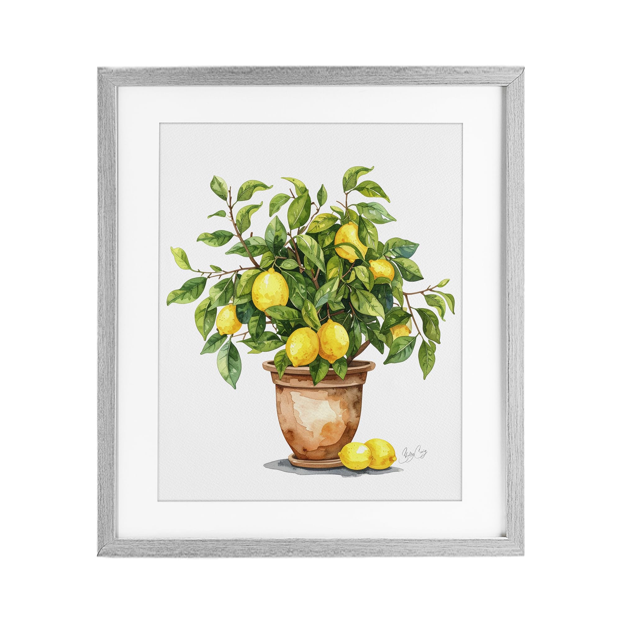 Stupell Industries Farmhouse Gray (Textured) Potted Lemon Tree Botanical, 17 X 21 Inch Framed Print Under Glass