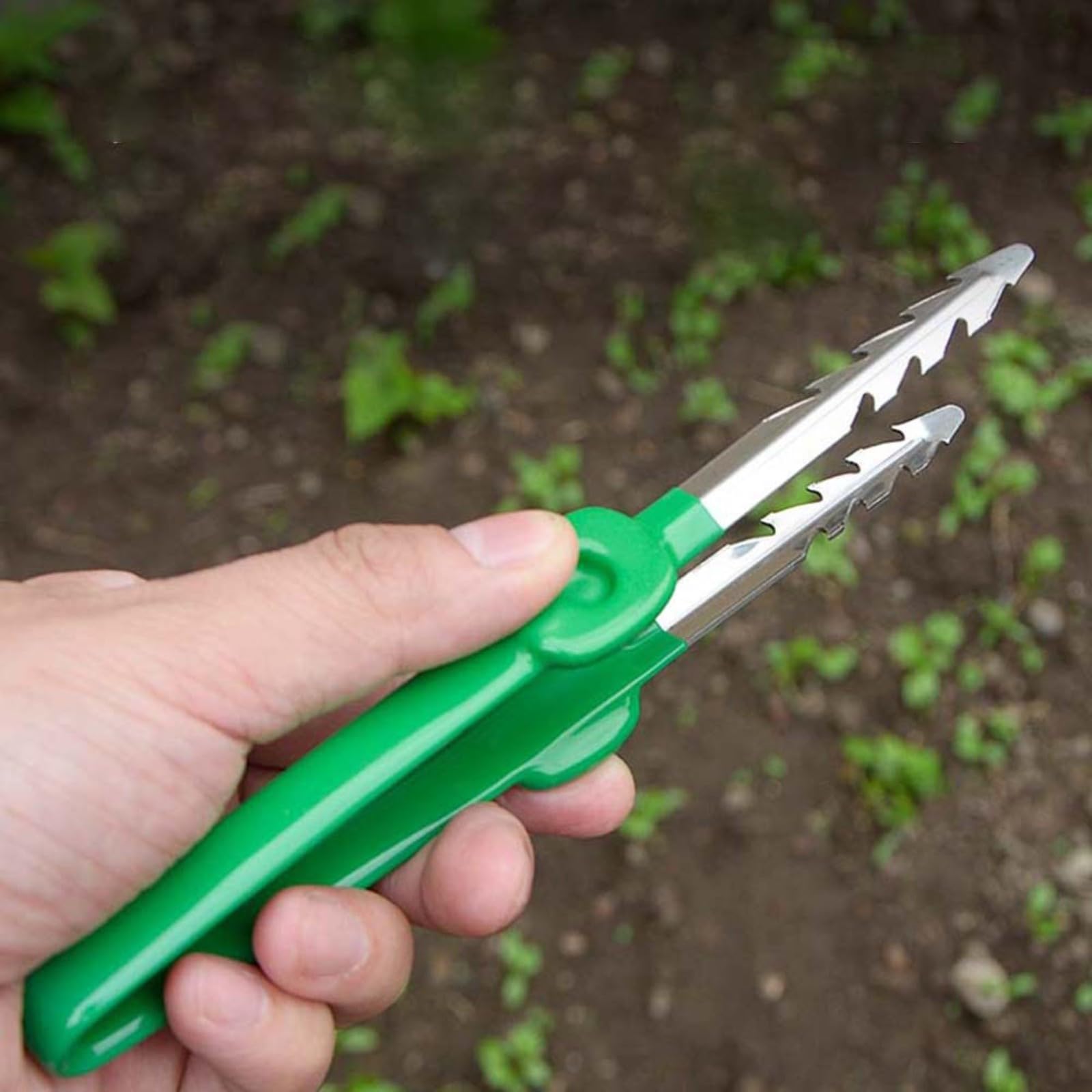 Pinzette per la cura delle piante grasse Clip portatile in acciaio inossidabile Strumento di giardinaggio multifunzionale per la manipolazione delle piante Lavoro accurato Uso educativo