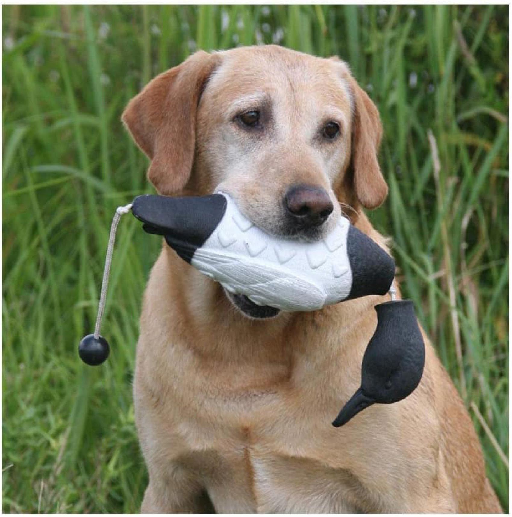 Avery Sporting Dog EZ-Bird Canard Flottant pour Chien Noir/Blanc 19 x 8 x 7 cm