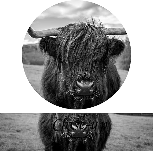 Miniatura 5 de Lienzo impreso para pared, diseño de Texas Freedom en blanco y negro, imágenes de vacas de las tierras altas, pintura de animales salvajes, ganado,