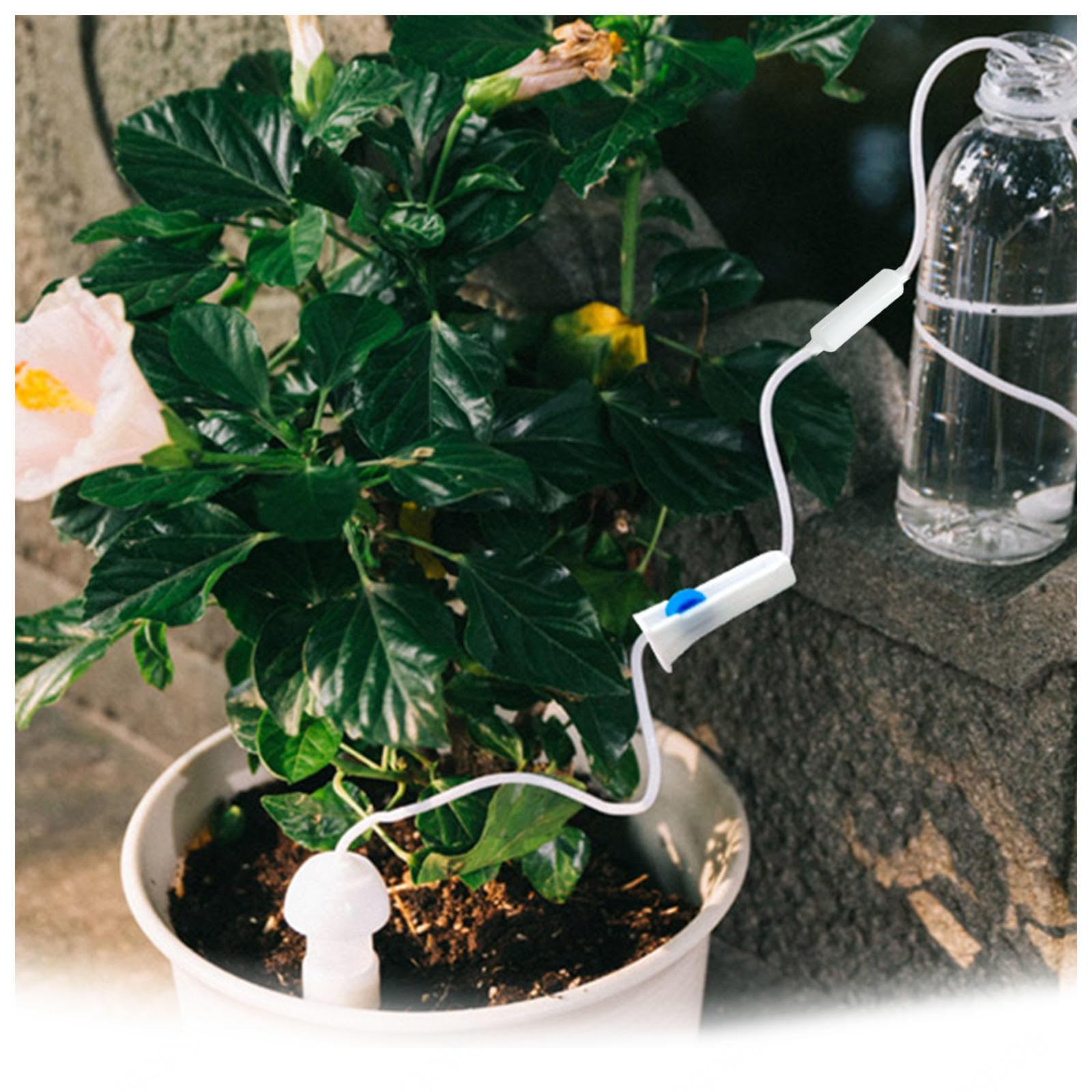 Bewässerungskugeln für Outdoor-Pflanzen mit langsamem Ablassventilschalter, Bewässerungszwiebeln für Outdoor-Pflanzen für Reisen, Geschäftsreisen, Pflanzen, selbstbewässernd, 4 Stück