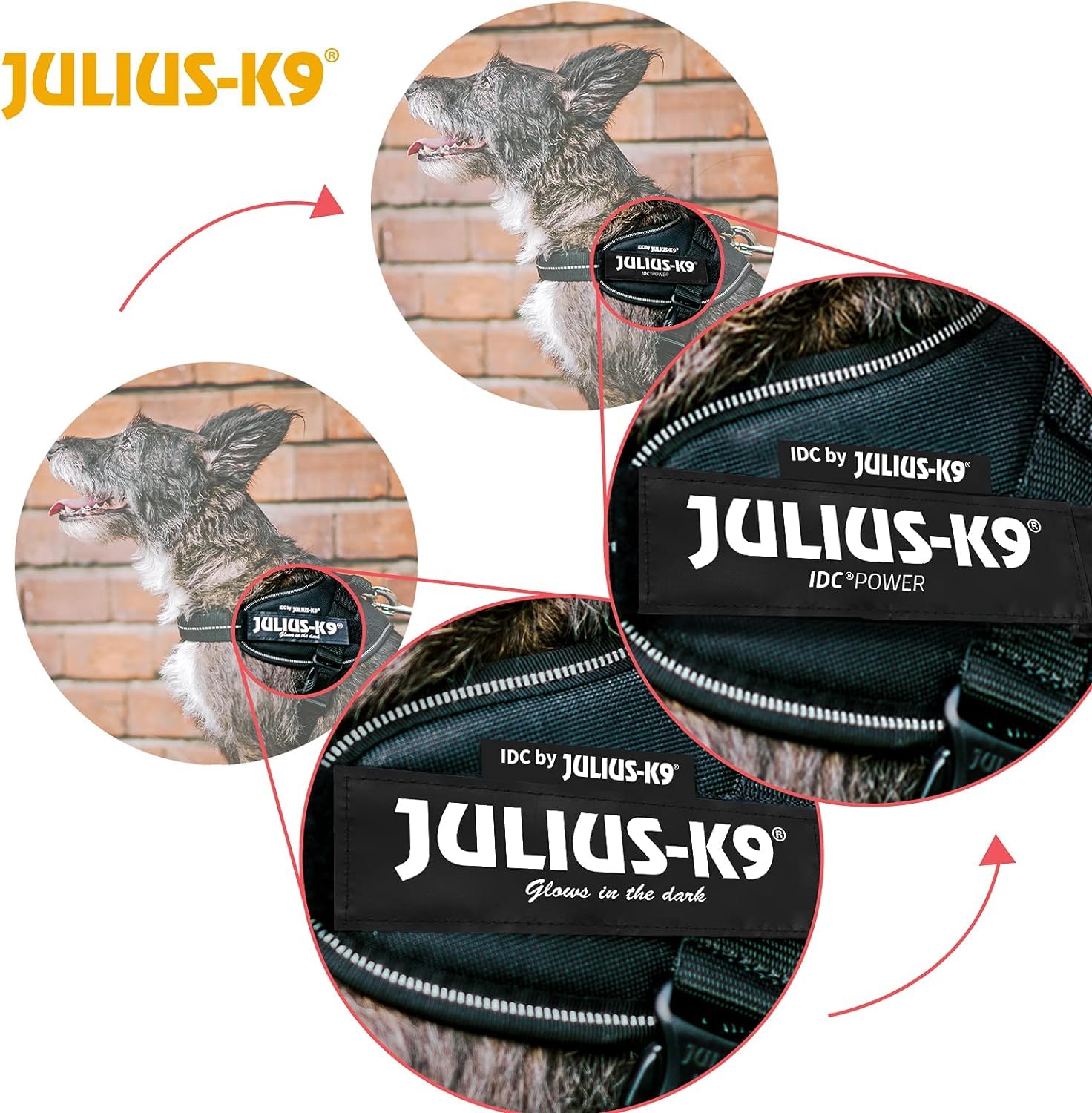 IDC Powergeschirr, XS, Schwarz - Reflektierendes Hundegeschirr mit Logo-Feld, verstellbar, atmungsaktiv, Bewegungsfreiheit, Oeko-TEX Zertifiziert, für kleine, mittlere & große Hunde