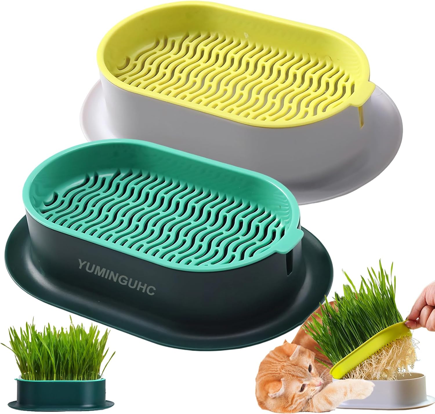 Cat Grass Growing Kit with Organic Seeds