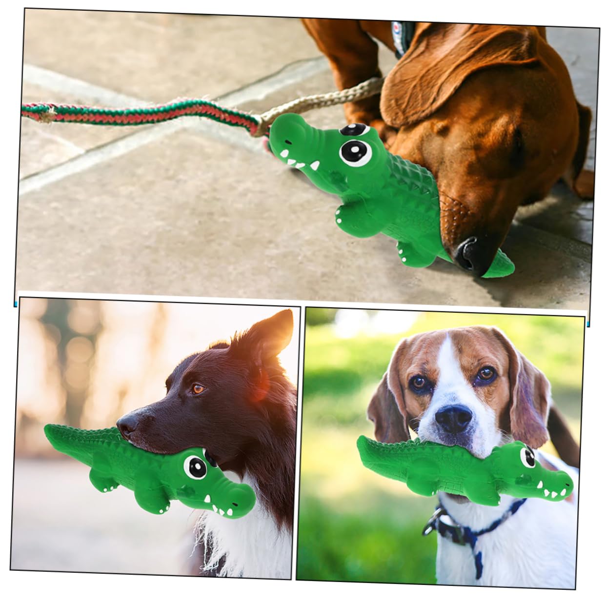 INOOMP 10pièces Jouet à Mâcher pour Chien Jouet Squeaky Interactif Forme De pour Chiots Et Petits Chiens