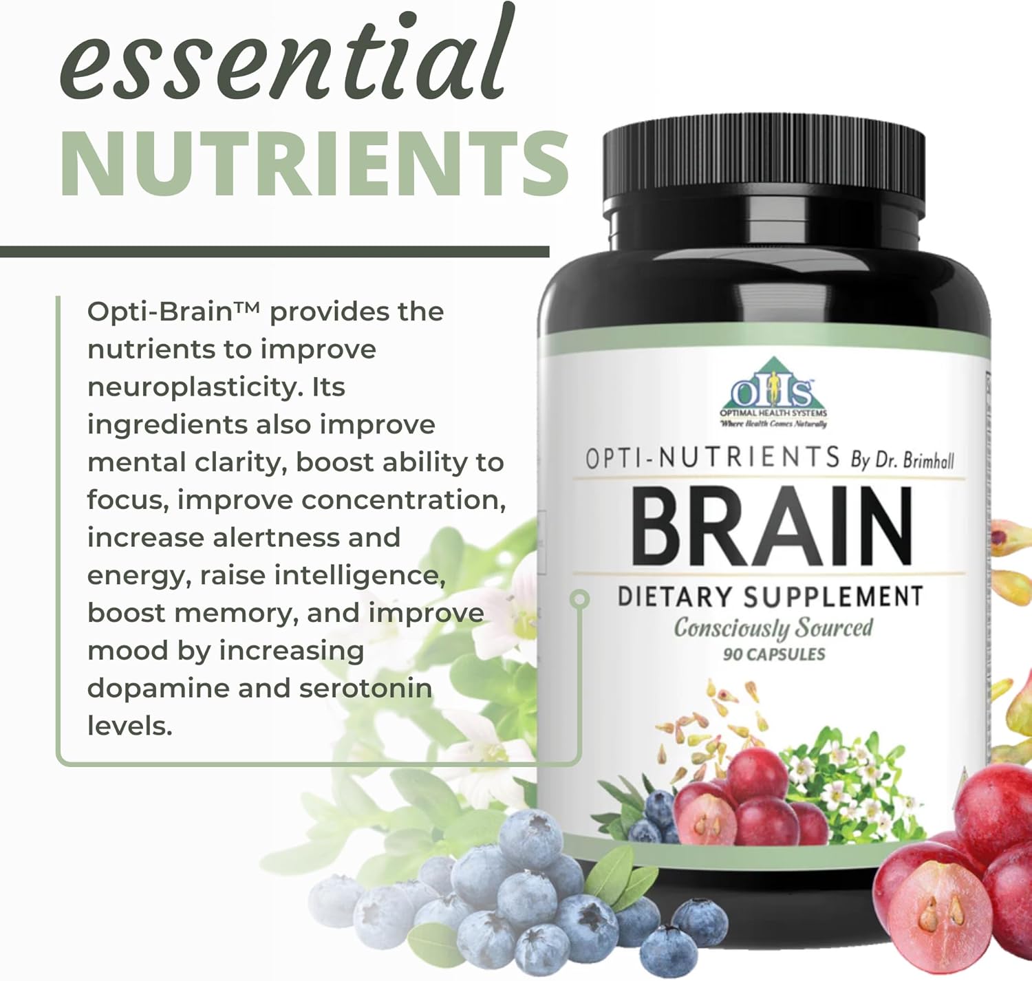 Optimal Health Systems Brain | Most Comprehensive Nootropic + Enzyme Delivery | 700 mg Scientific Neuroenhancment Blend | Boost Mood, Memory & Focus | 90 Capsules