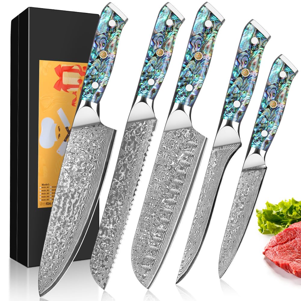 5PCS Damascus Knife Set, Blade 12.4-20cm Made of 67 Layers of VG-10 Damascus Steel Kitchen Knife Set, Damascus Chef Knife, Abalone Shell Handle, Gift Box