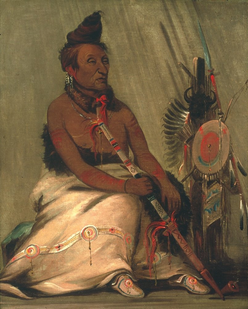 Catlin Hidatsa Chief Neah-Toh-K-Pah-Shee-Pee-Shah Black Moccasin Hidatsa Chief Oil On Canvas 1832 By George Catlin Poster Print by (24 x 36)