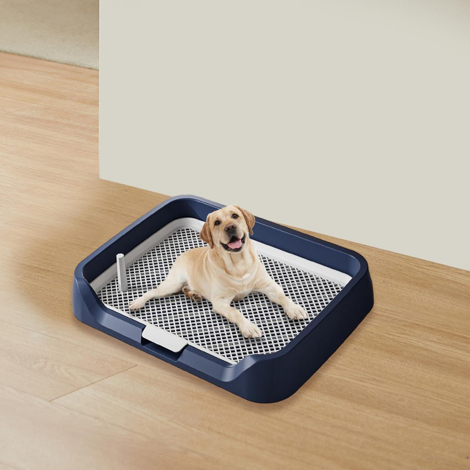 Indoor Dog Potty Tray Mesh Training Toilet Potty Tray Reusable Puppy Pee Pad Holder for Large Puppy Small Dogs and Male Dogs, Blue