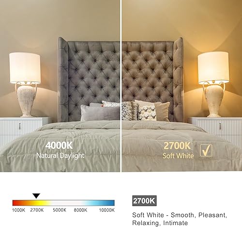 Miniatura 7 de 4 bombillas LED Edison vintage regulables, equivalente a 6 W, 60 vatios, blanco cálido 2700 K, bombilla de filamento LED en espiral flexible