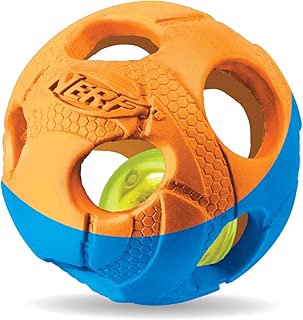 Nerf Dog LED Hundespielzeug im test