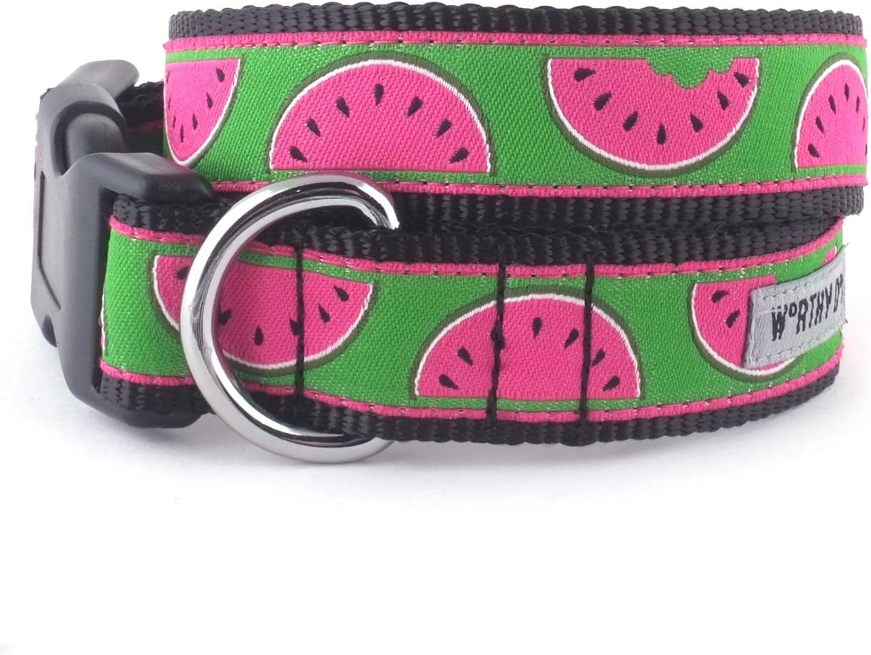 THE WORTHY DOG Collar for Small Dogs, Adjusts 6-12 inches, Durable Nylon Webbing, Quick Release Buckle, Watermelon Pattern, Parrot Green, X-Small