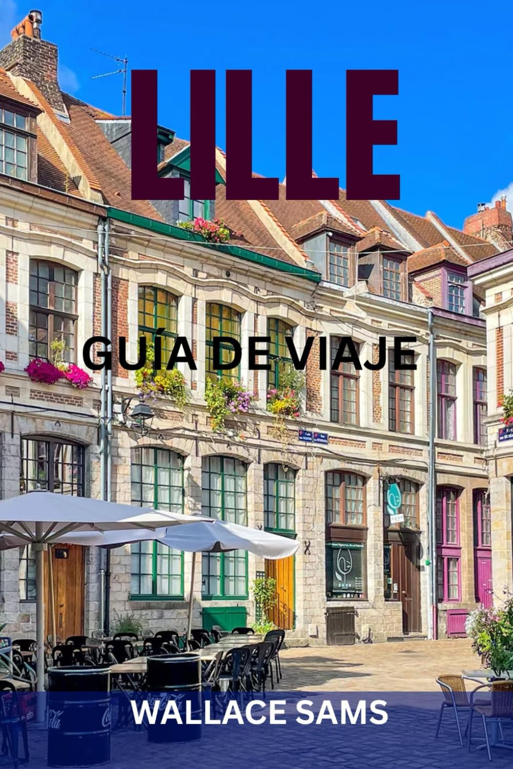 LILLE GUÍA DE VIAJE: Explora Lille como un local: lugares de interés, joyas ocultas, gastronomía, itinerarios y consejos para un viaje inolvidable