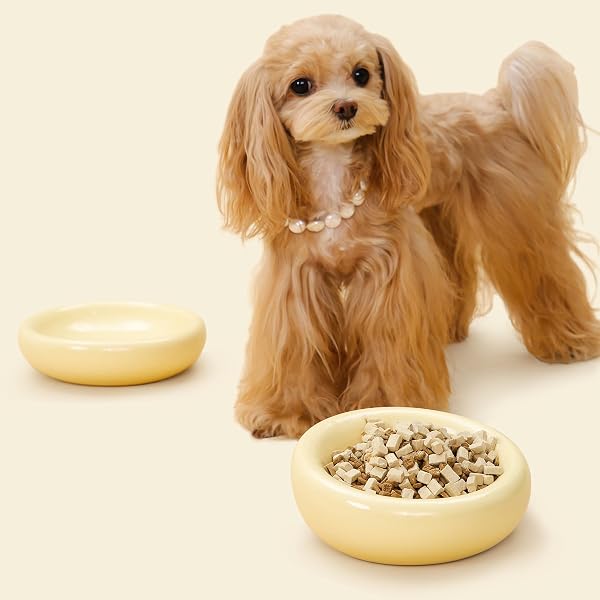 Pet JoJo Pebble Pet Bowl Deep Yellow, Ergonomic Dog Cat Feeding Bowl, Flat-Faced Breed, Tilted Ceramic Pet Food Dish, Scooper Eater, Anti-Spill Design, Dishwasher Safe, Modern Pet Bowl, Dry & Wet Diet