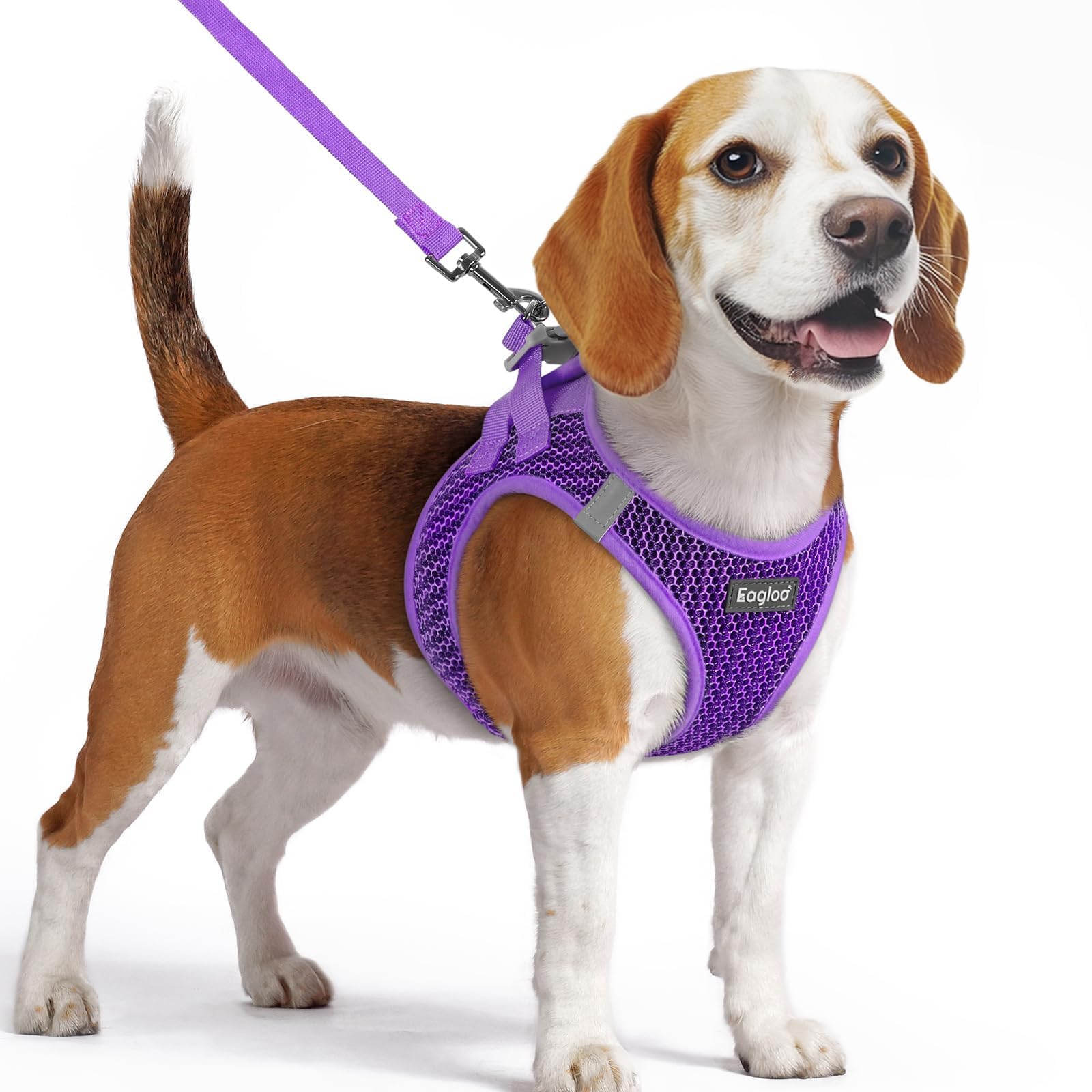 Photo 1 of Eagloo Small Dog Harness & Leash Set - Purple, Medium