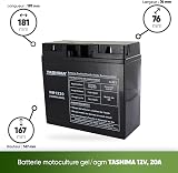 TASHIMA - Batterie 12V 20AH NH1220 Motoculture - Technologie Plomb Étanche Gel Sans Acide - Borne + À Droite - Pour Moteurs Thermiques Type Tracteur, Tondeuse À Gazon Autoportée & Motoculteur - 2