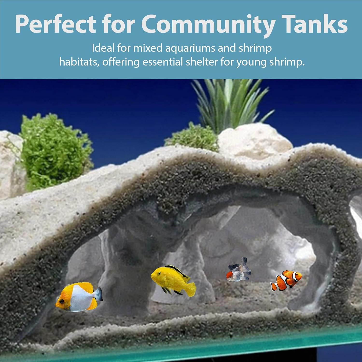 Aquarium Decor, Natural Curve Under Gravel Tunnel Cave, Fish Cave for Aquarium, 3D Printed Fish Tank Tunnel Decor for Betta, Guppy, Shrimp, Cory, Small Cichlid (Large)