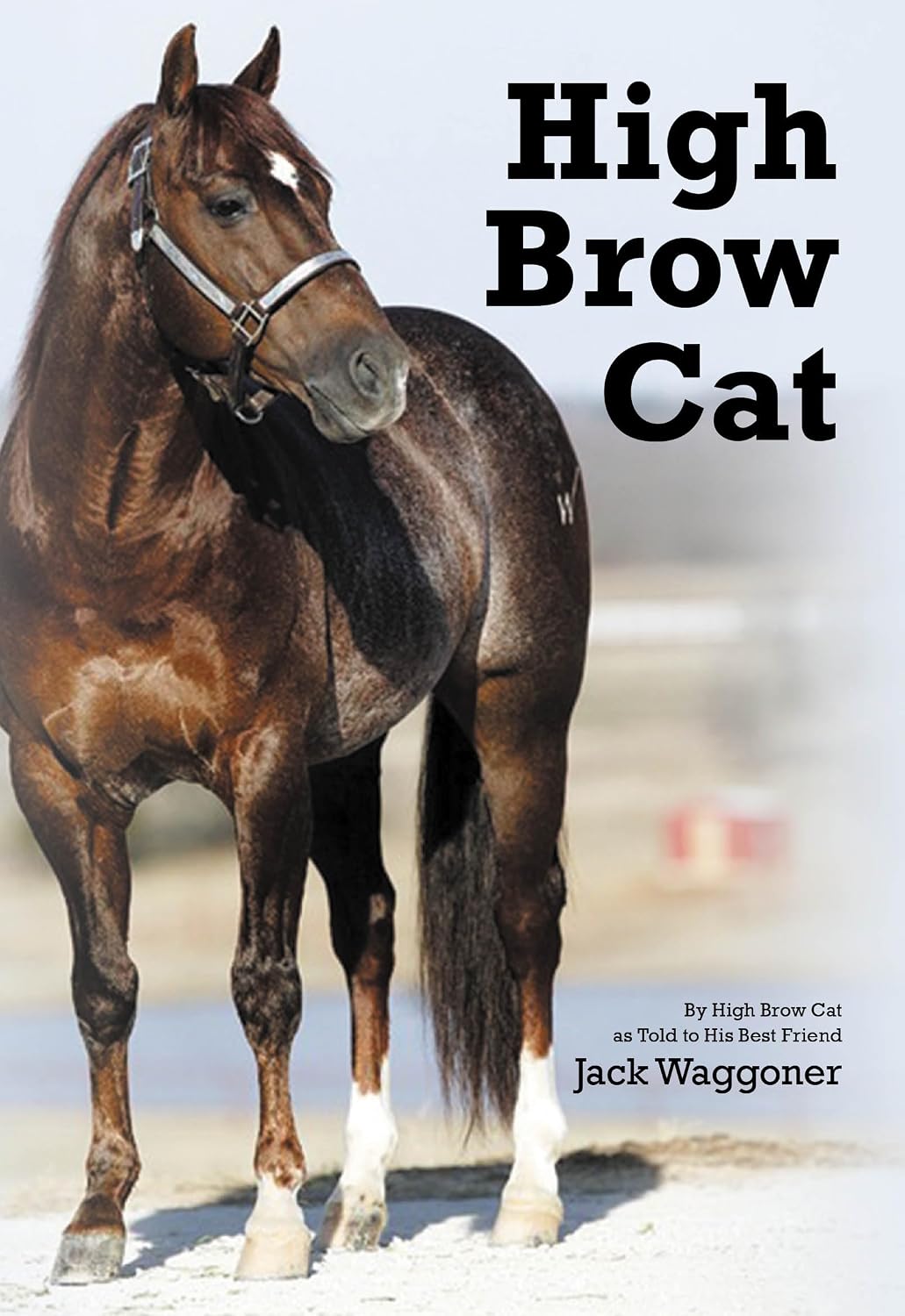 High Brow Cat      Kindle Edition