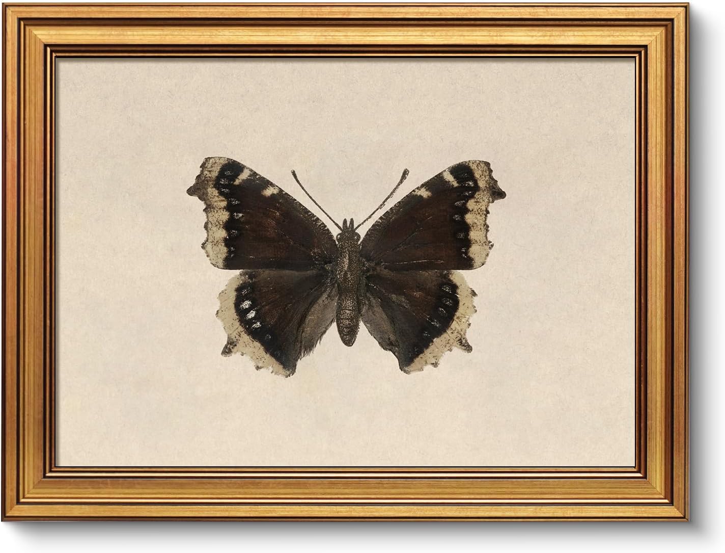 VIYYIEA Vintage Gold Framed Wall Art, Classical Butterfly Oil Paintings Wall Decor, Dark Moody Insect Canvas Prints Artwork for Bedroom, Kitchen, Shelf, Bathroom Decor, Room 12x16Inch