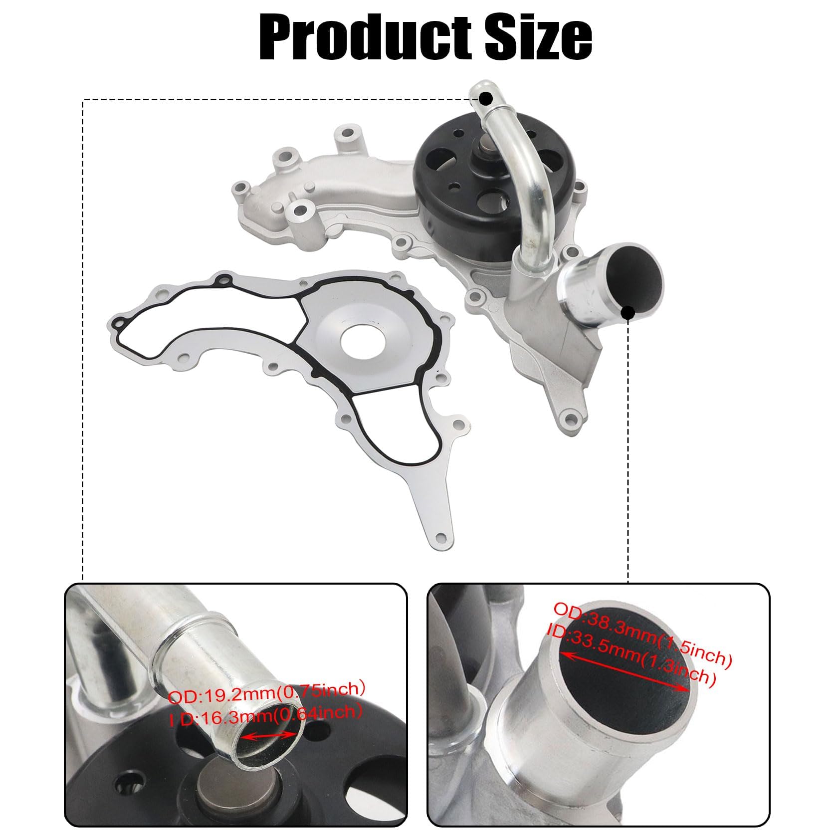 サメフィン　h&o bonbonero Amazon.com: Auto Parts Engine Cooling Water Pump and Gasket
