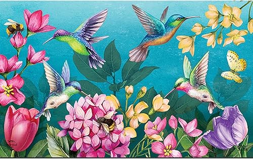 Miniatura 3 de Briarwood Lane Springtime - Felpudo de primavera de colibríes, 30 x 18 pulgadas, para interior y exterior