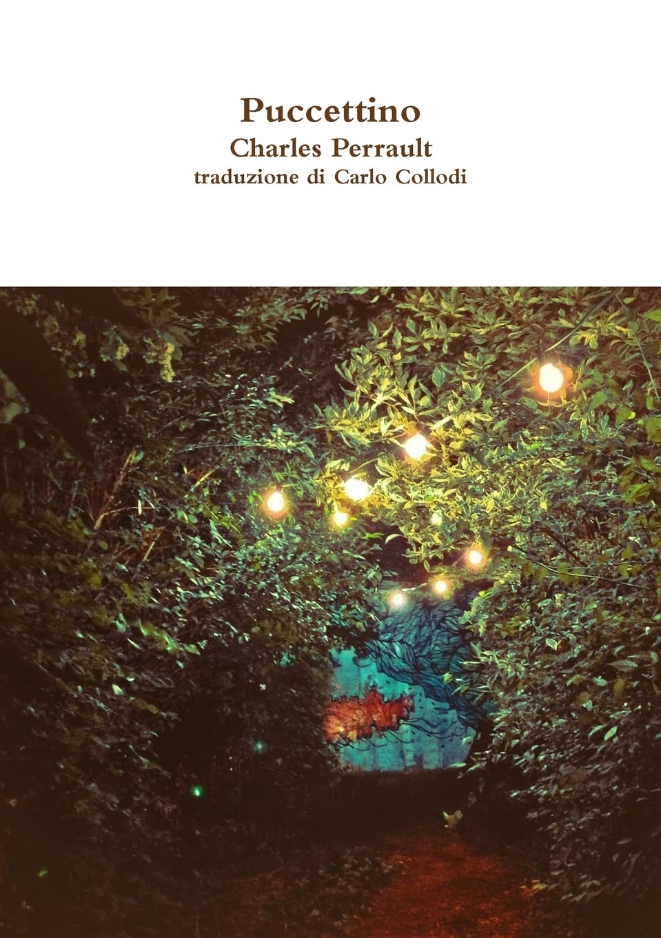 Puccettino (Italian Edition)