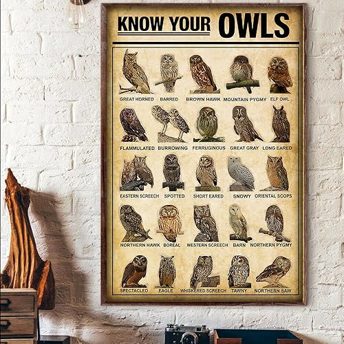 Letrero de metal vintage con texto en inglés "Know Your Owls Vert Breeds Knowledge", póster de metal vintage para bar, música, club, hombre, cueva,