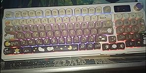 Review Image by AmazonReviewer AmazonReviewer