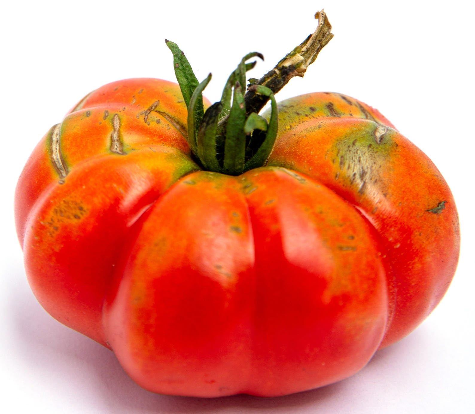 Amazon.com : President Garfield Tomato Heirloom Premium