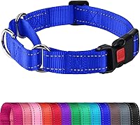 Vista 9 de Joytale Collar Martingale para perros, reflectante resistente para mayor seguridad, hebilla de liberación rápida, collares de nailon ajustables