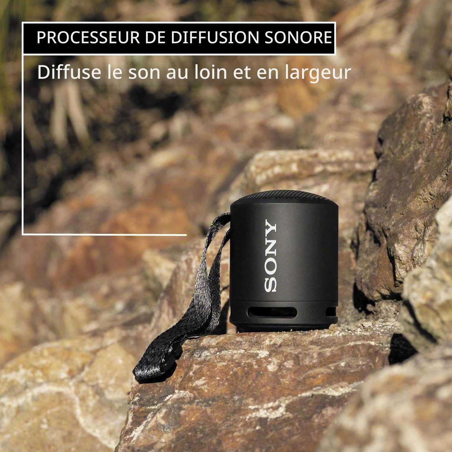 Sony SRS-XB13 Haut-Parleur Bluetooth Compact sans Fil Extra Bass avec 16 Heures d'autonomie, Type-C, étanche IP67, résistant à la poussière, Haut-Parleur avec Micro, Audio Fort pour appels