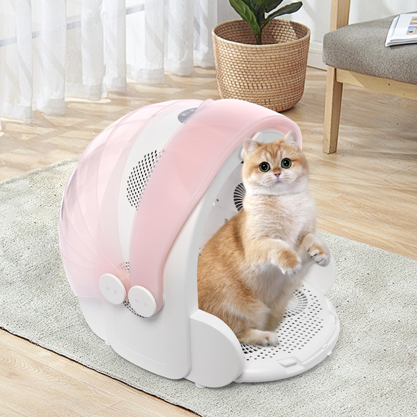 Secchiello automatico per animali domestici, portatile, pieghevole, 600 W, scatola di asciugatura elettrica a 360°, temperatura regolabile, per animali domestici, gatti e cani