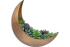 Moon Planter: Adorn Your Walls with Heavenly Greenery For Bedroom Decor