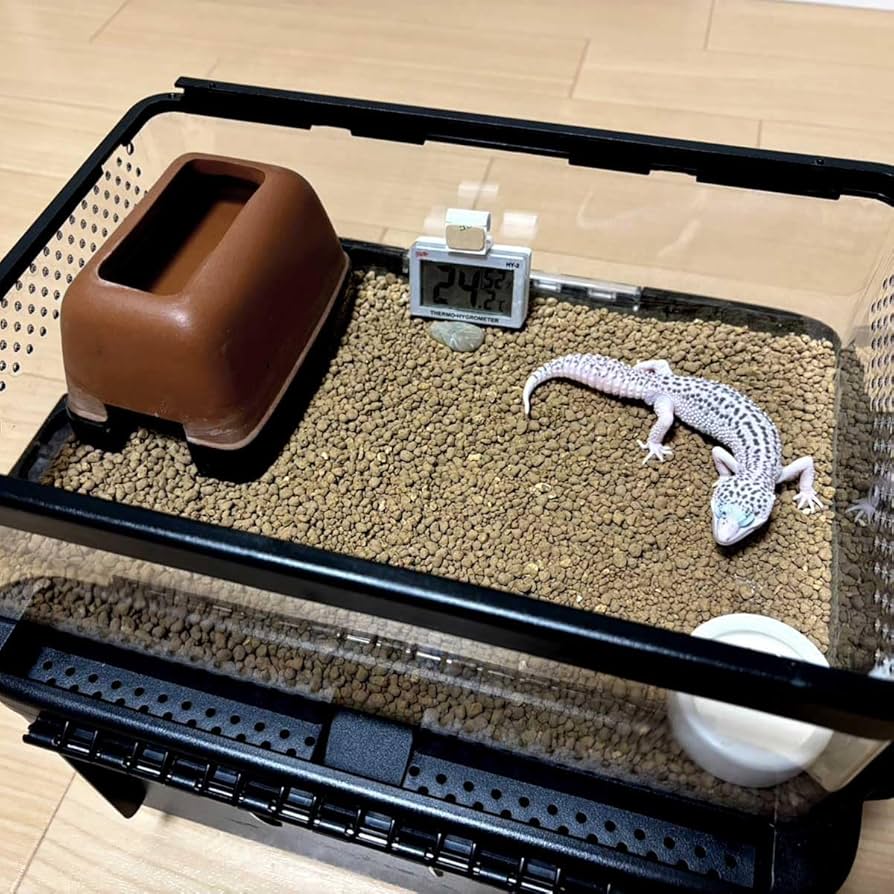 ヤマムラページ　120ケージ2個 815ase2IhSL._UF894,1000_QL80_.jpg