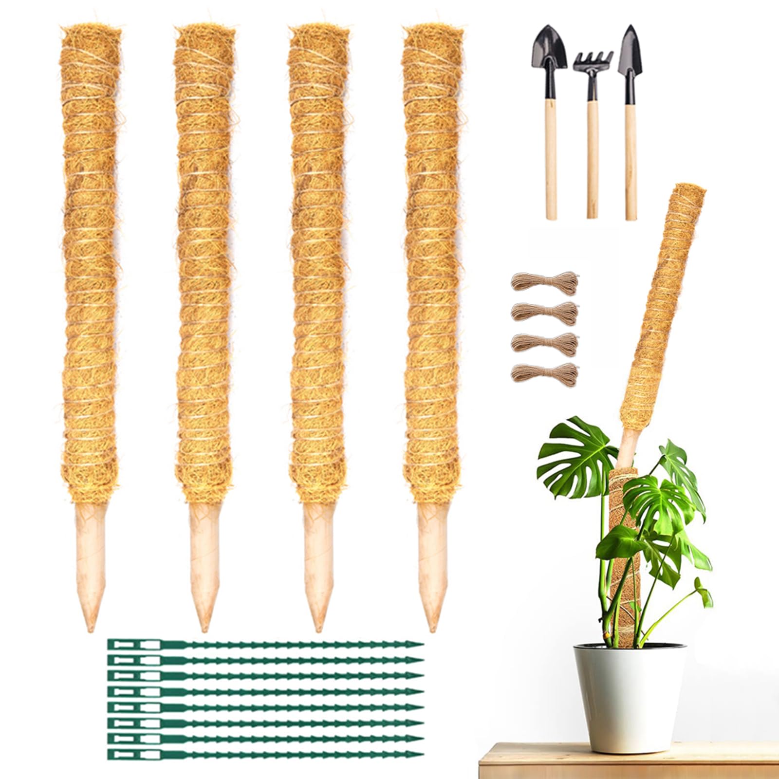Poteaux en fibre de coco pliables pour sublimer et guider vos Monsteras de salon