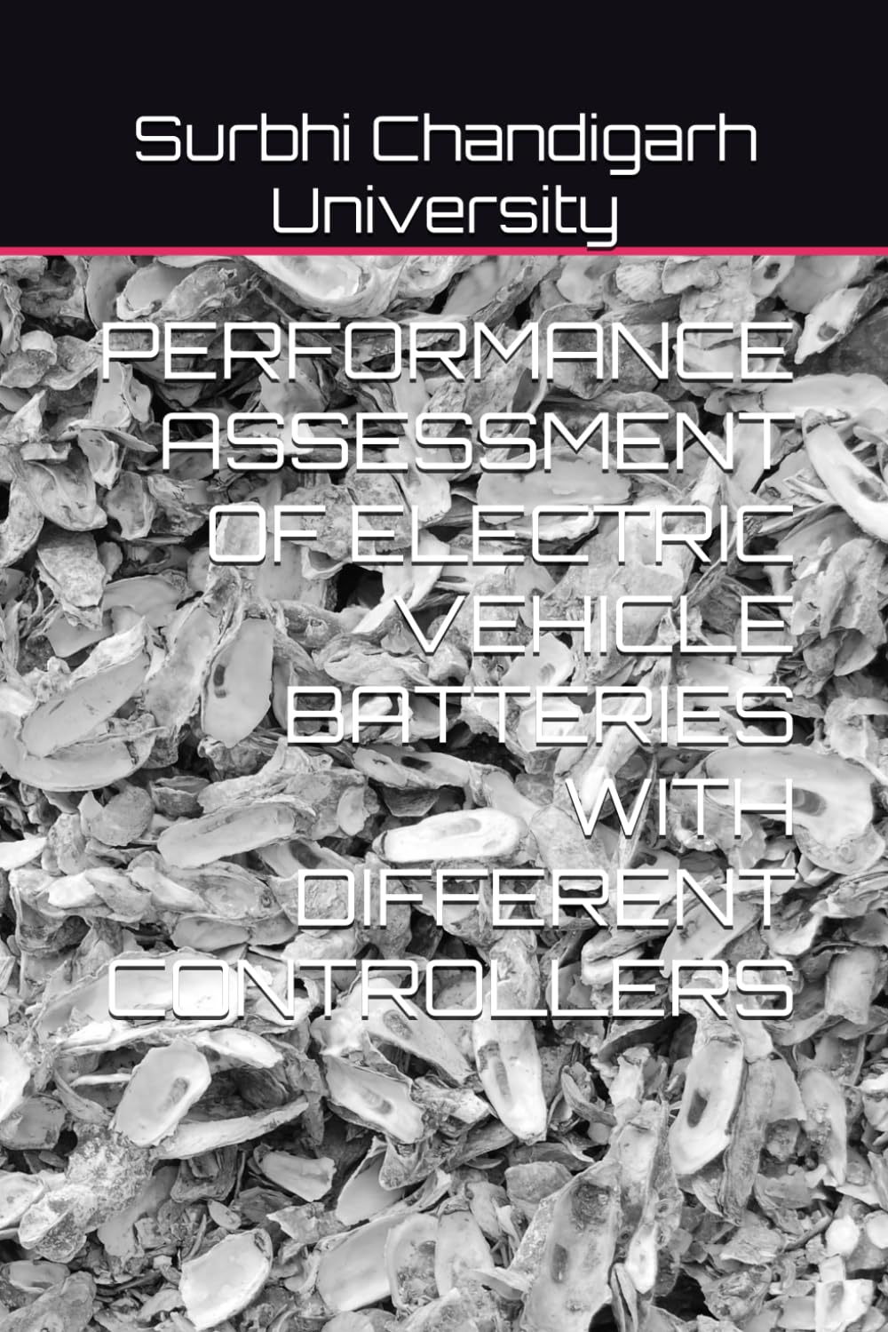 PERFORMANCE ASSESSMENT OF ELECTRIC VEHICLE BATTERIES WITH DIFFERENT CONTROLLERS