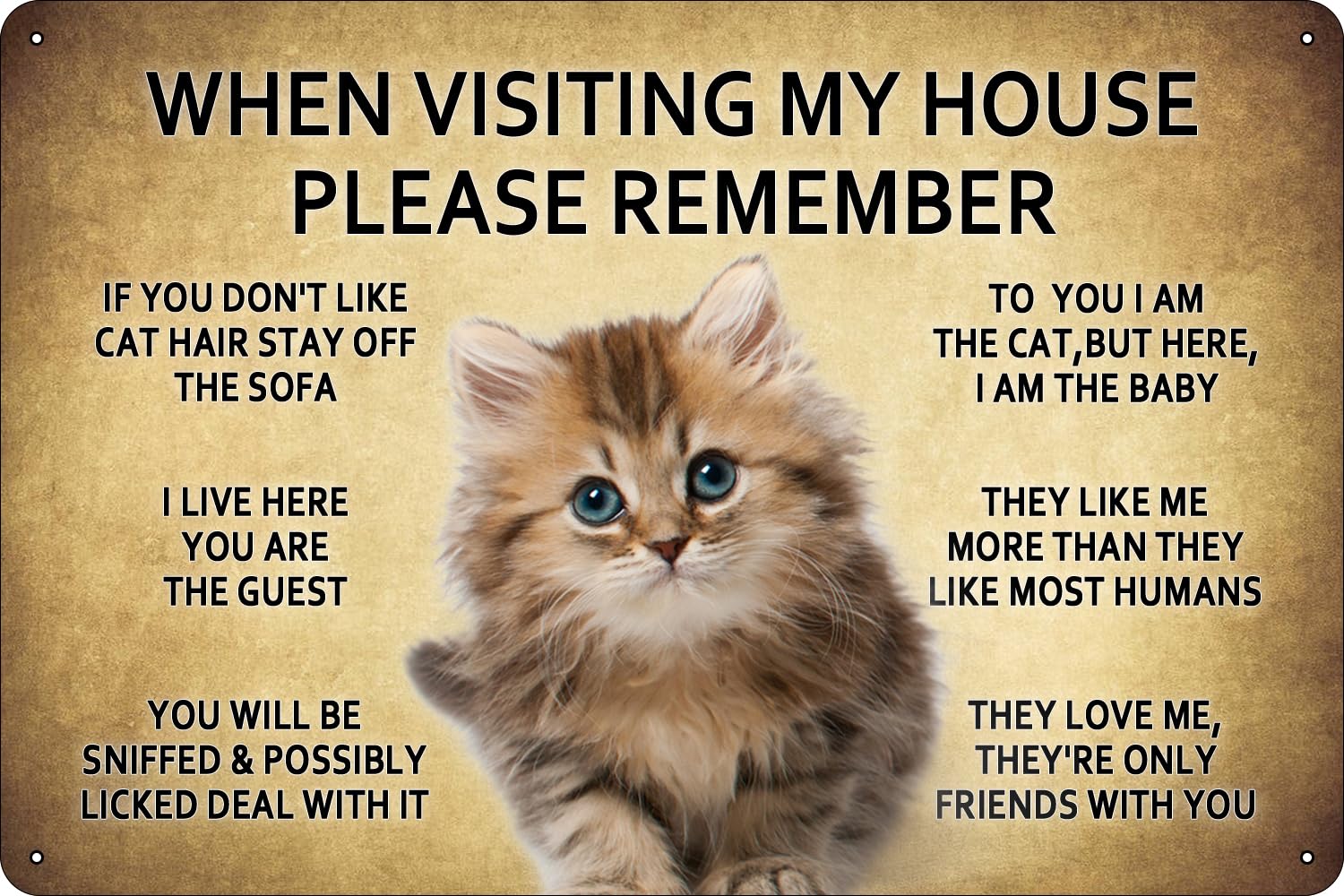 When Visiting My House Please Remember Vintage Cat Metal Tin Sign - 8x12 Inch - Perfect for Man Cave, Dining Room, Kitchen, Bathroom, or Garden Decor