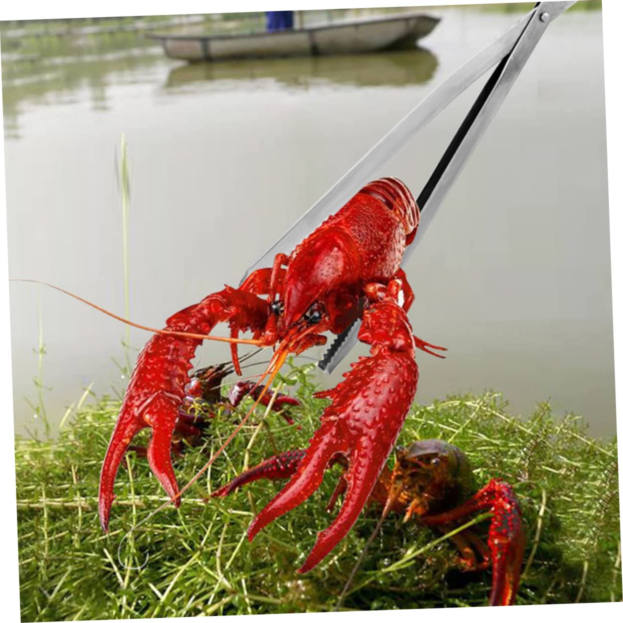 ABOOFAN Stainless Steel and Eel Tong Portable Fish Gripper Tool for Efficient Crab and Lobster Catching Lightweight Skid Handle and Resistant