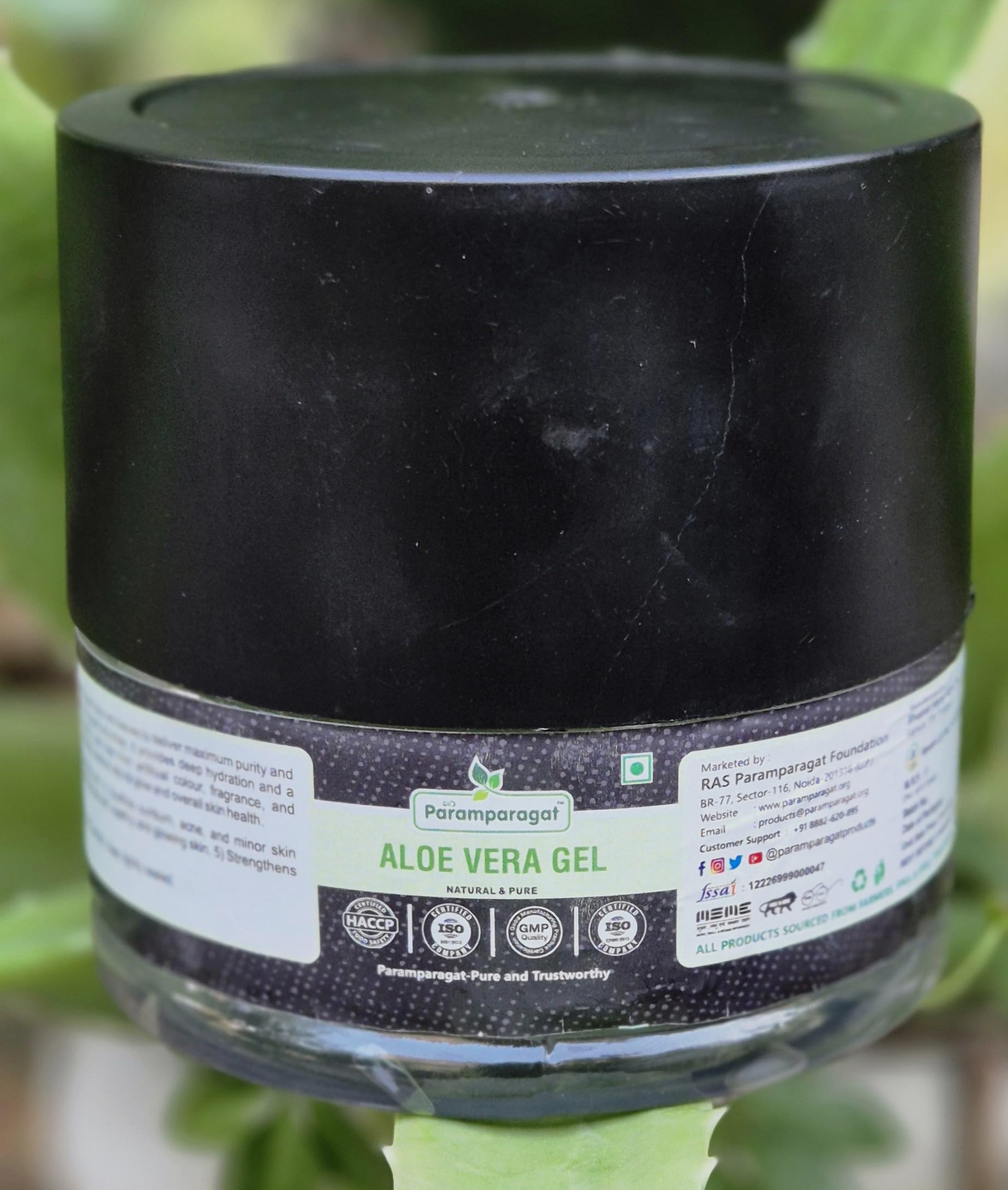 PARAMAPRAGAT Pure Aloe Vera Gel Aloe barbadensis Miller | Natural Aloe Gel, Pure Aloe Vera, Aloe Barbadensis-picture-17