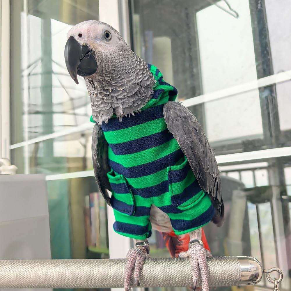 Parrot Supplies, Lightweight Flight Suit for Birds, Parrot Restraint Supplies, Comfortable and Warm, Suitable for Green cheeked Parakeets, Sun con, Monk Parakeets (2XL)