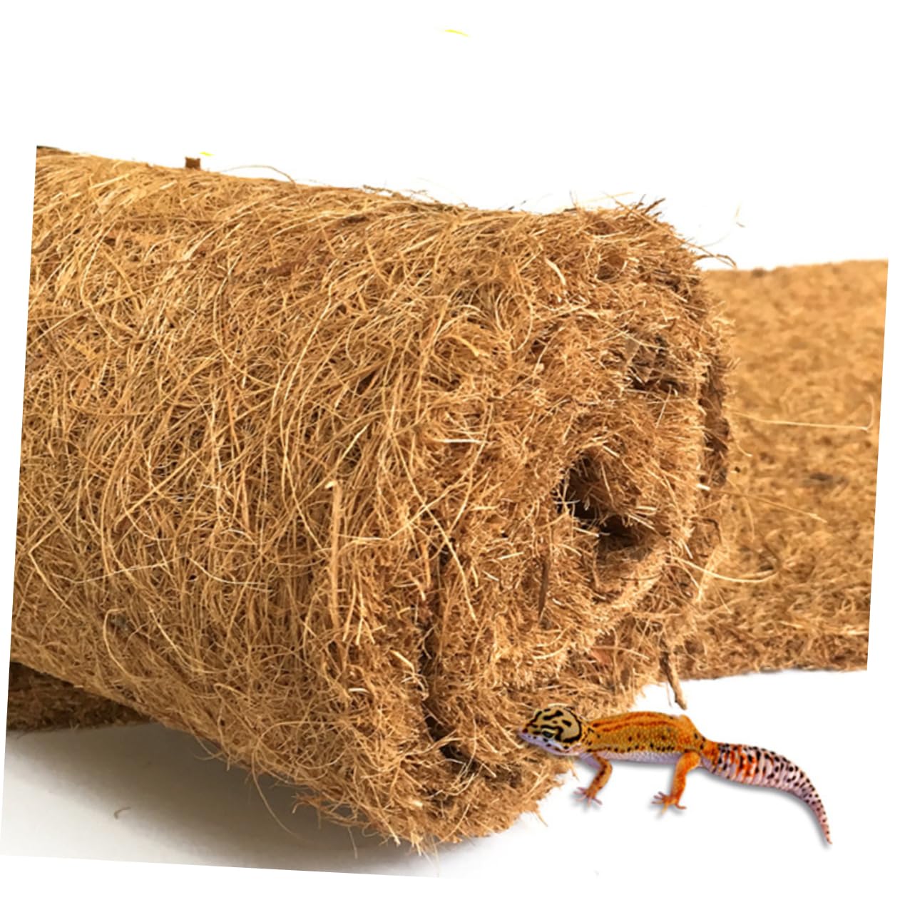 BESPORTBLE 2 Pièces Tapis Brun De Noix De Tapis De Reptile Tapis en Fibre De en Bois