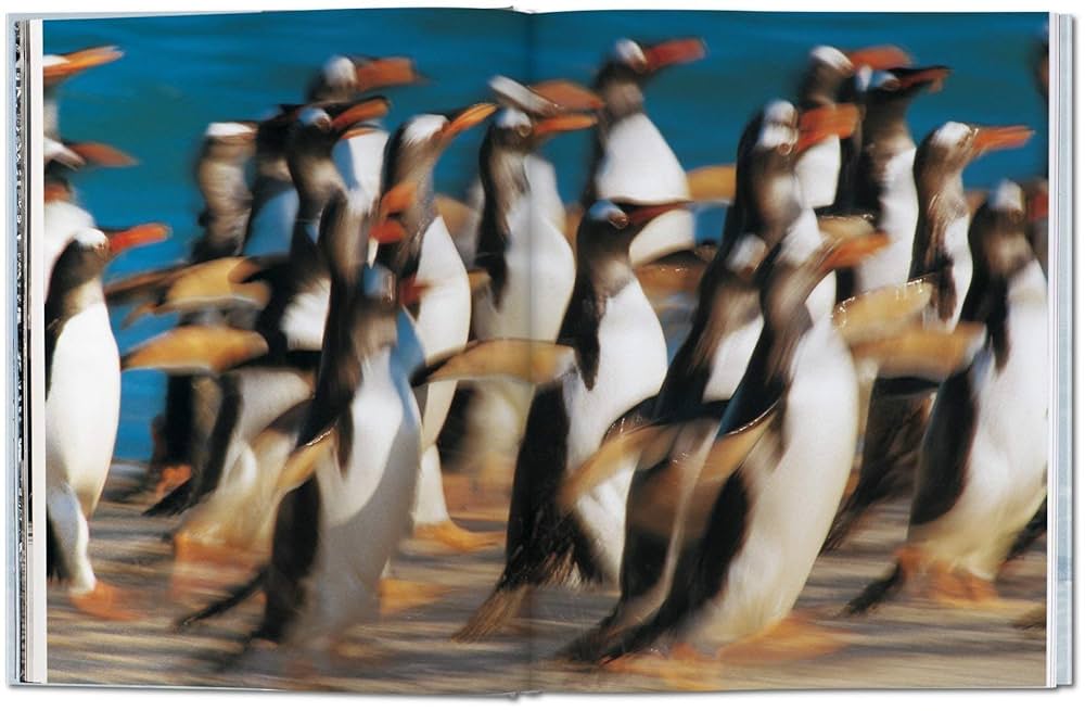 Amazon.co.jp: Frans Lanting, Penguin : 本