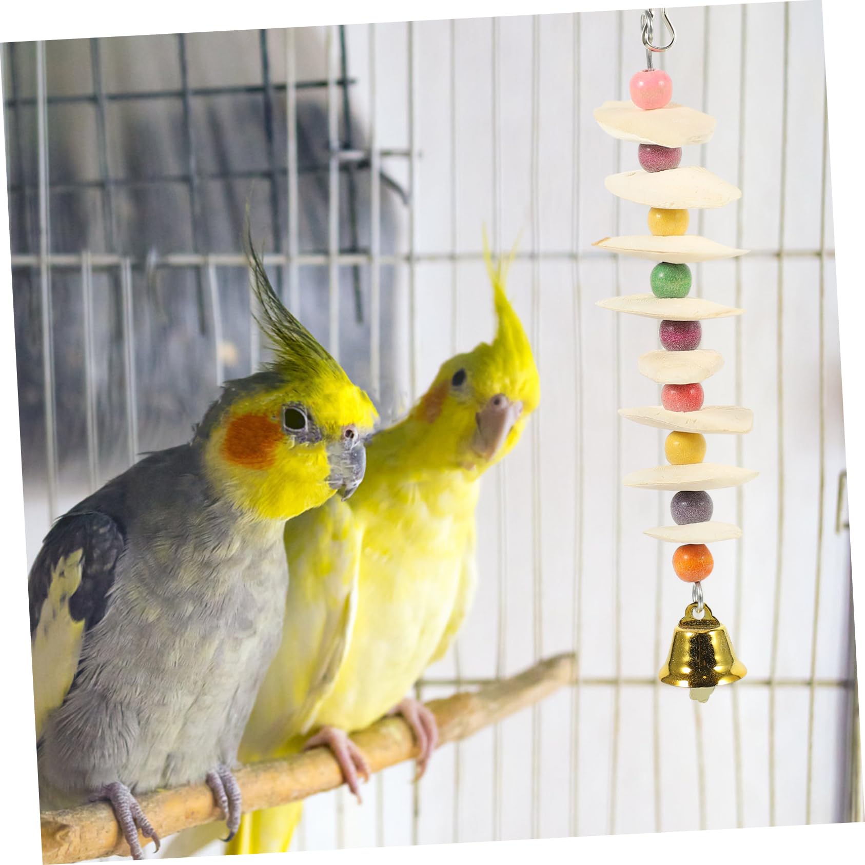 BESPORTBLE 4pièces Jouet à Mâcher pour Perroquets Accessoire De Seiche pour Calopsittes Et Petits Oiseaux Jouet Multifonctionnel pour Amusement Sain Et Naturel