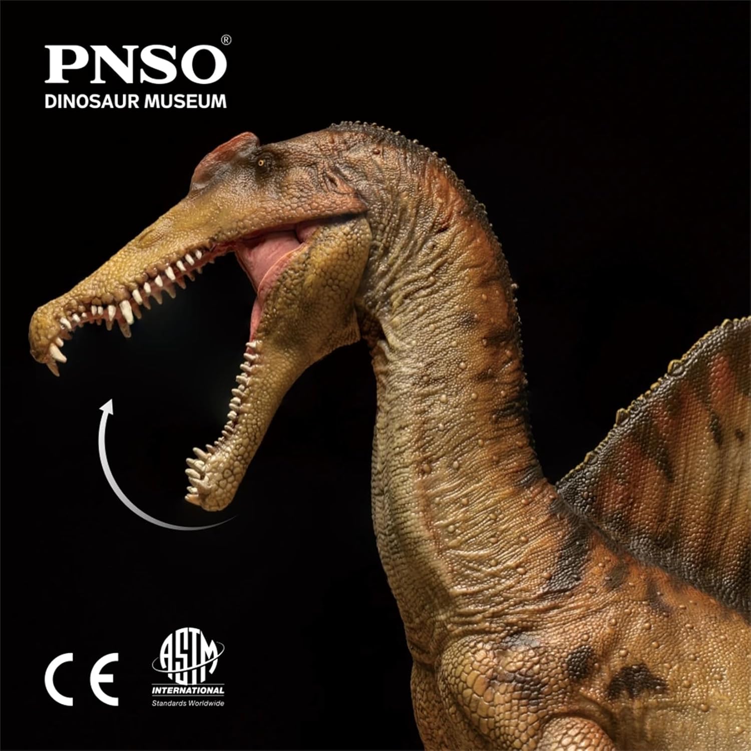 Dinosaur Museums Series 19AYMEN The Spinosaurus 1:35 Scientific Art Model PVC Animal Figure Gift