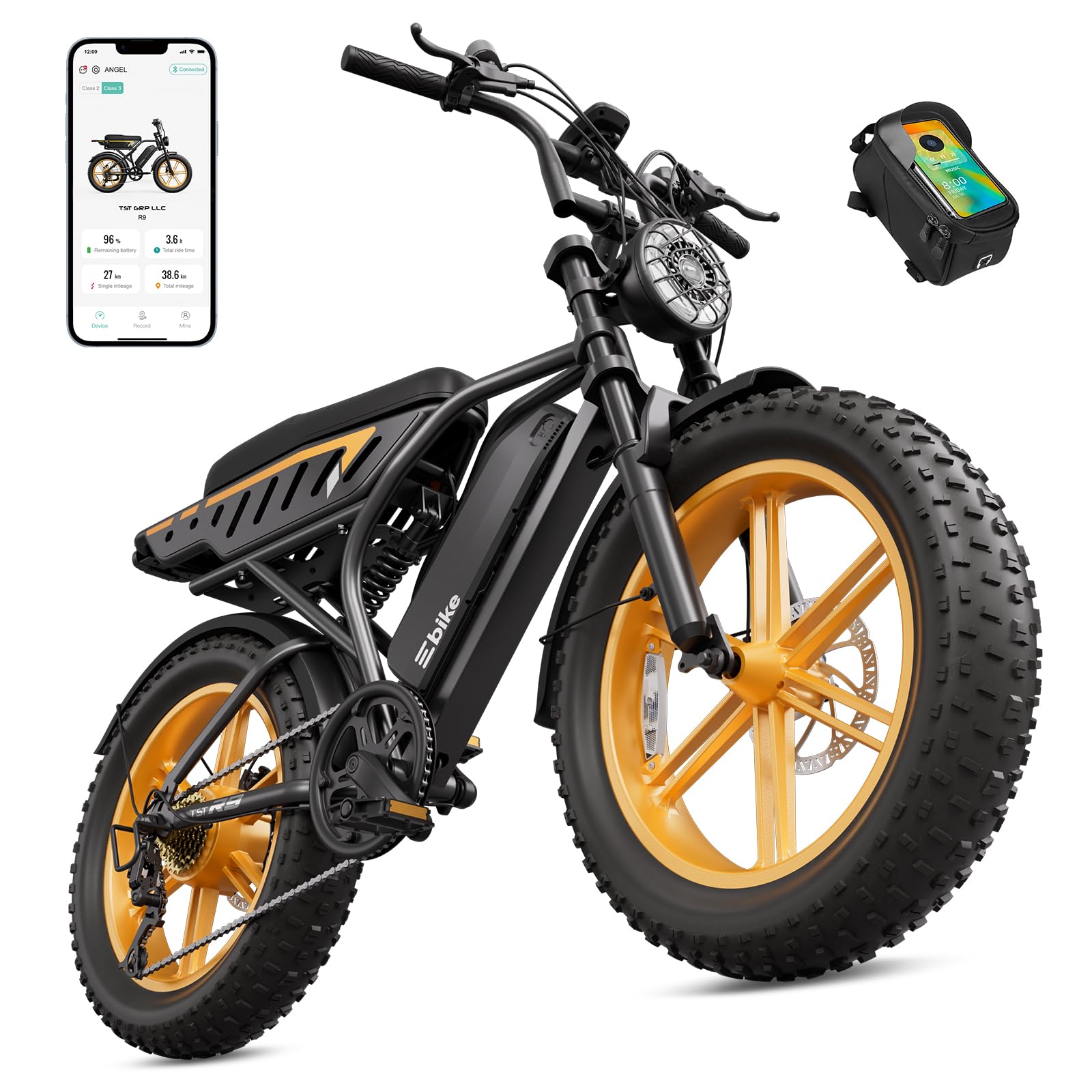 TS TST GRP Retro Ebike