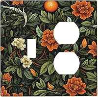 Vista 61 de Cubiertas de salida iridiscentes abstractas coloridas nubes dúplex de 1 cuadrilla, placa de cubierta de interruptor de luz arco iris, placas