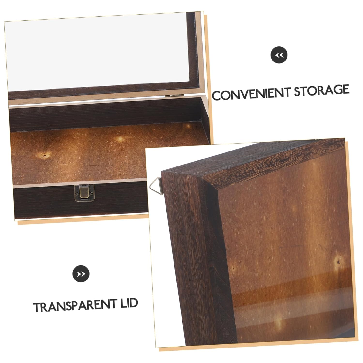 Acrylic Insect Display Box Moth Live Bug Cabinet Display Case Specimen Storage Case for Jewelry Coins Photos