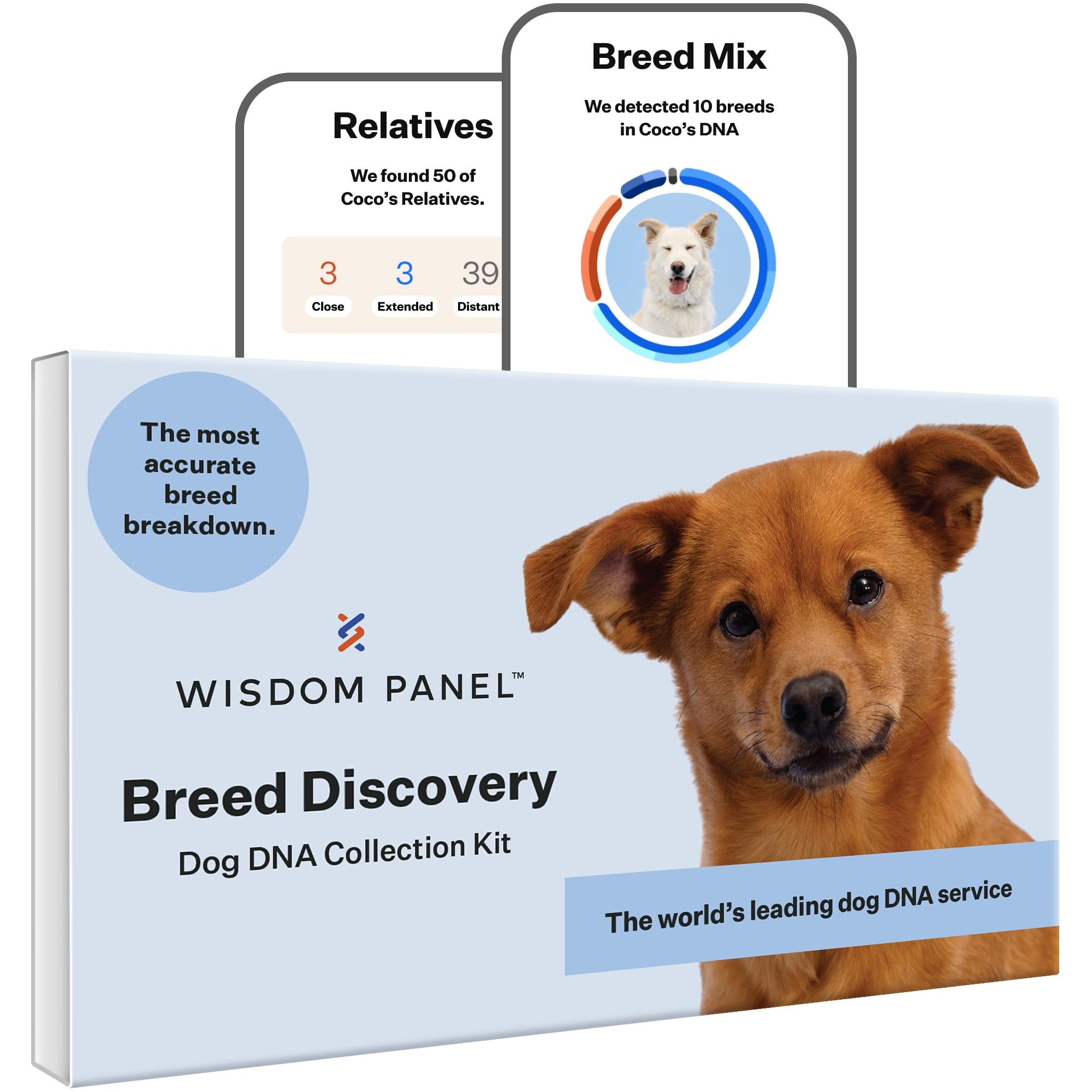 Wisdom Panel Breed Discovery Dog DNA Testing Kit