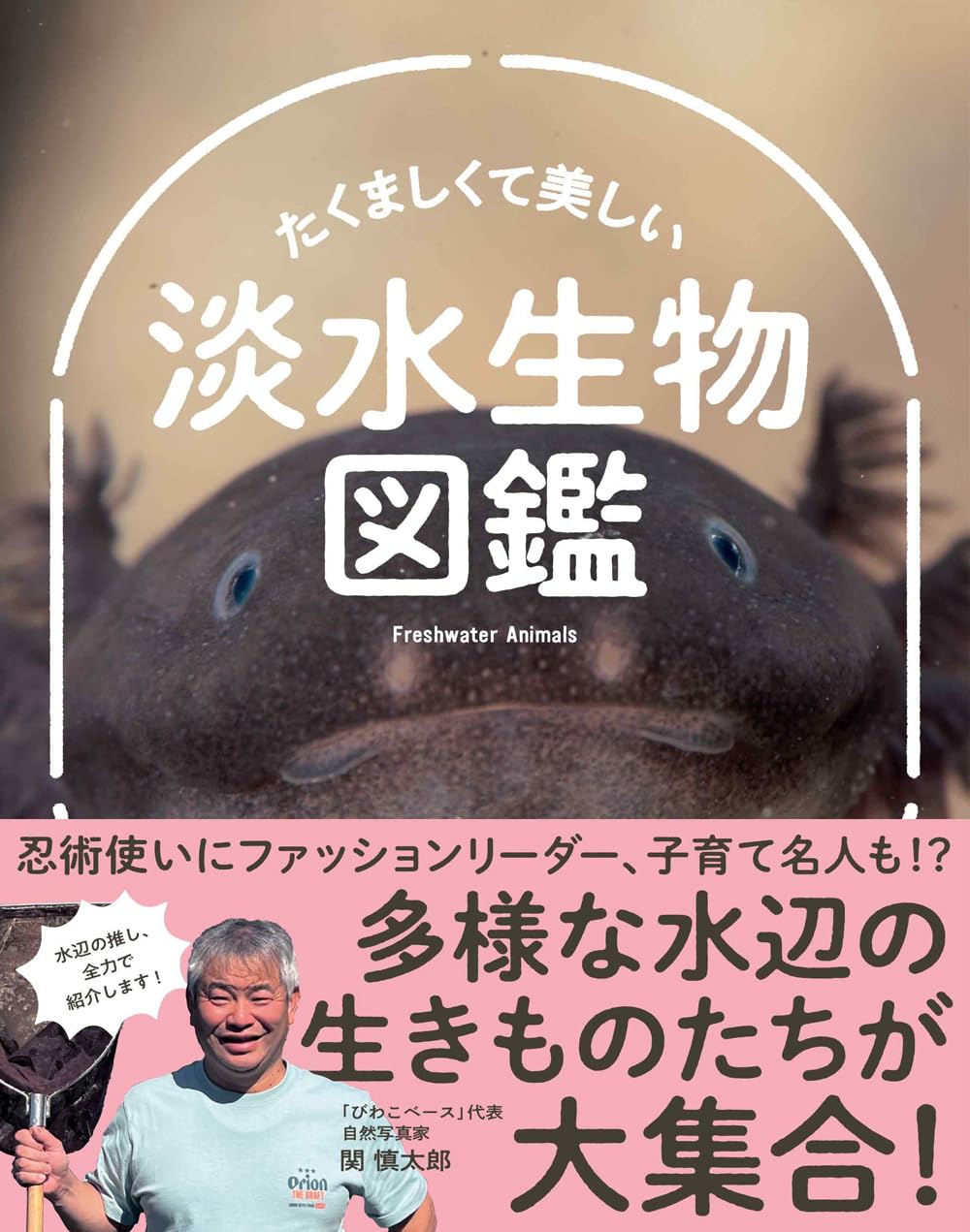 たくましくて美しい 淡水生物図鑑 | 関慎太郎 |本 | 通販 | Amazon