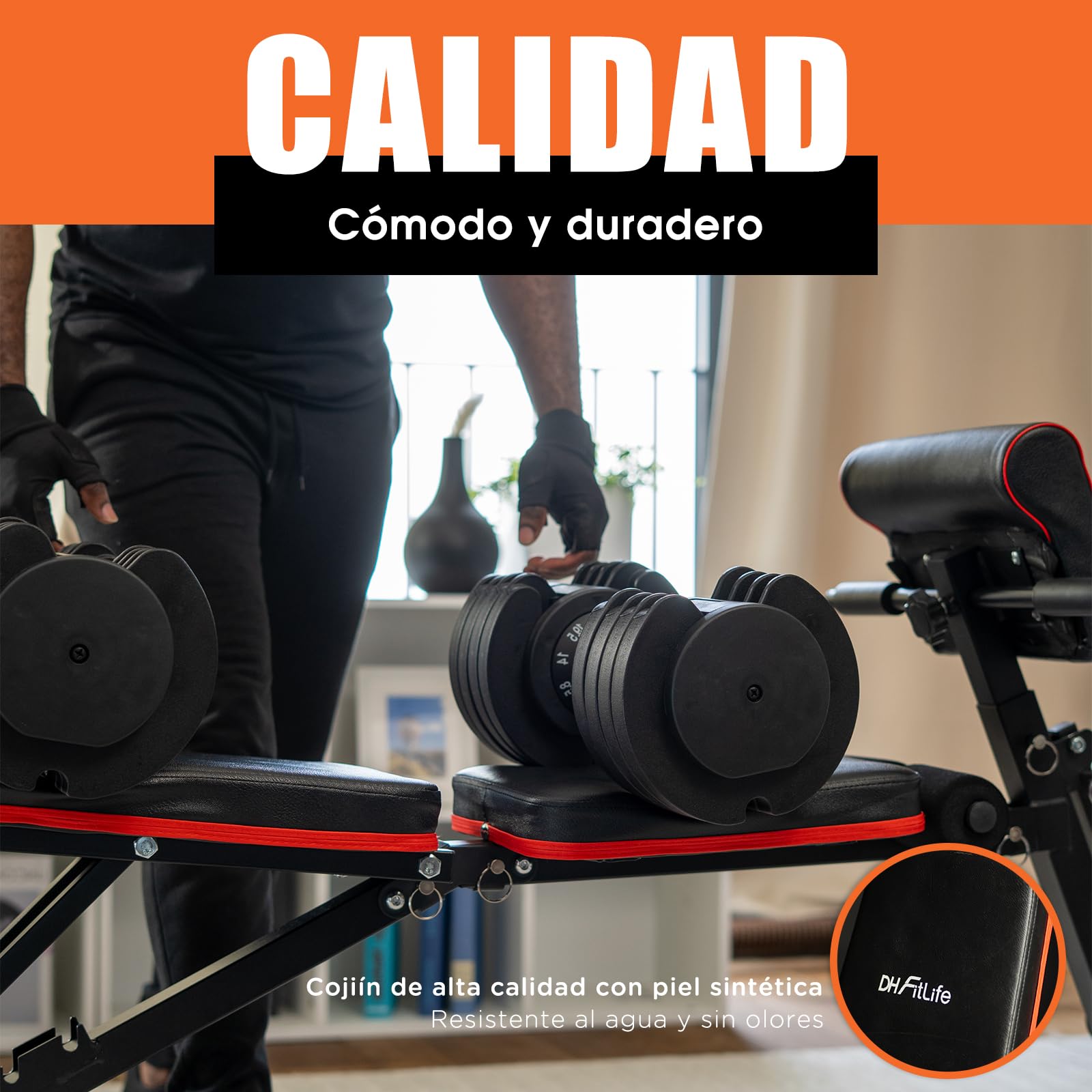 DH FitLife Banco de pesas plegable ajustable, banco inclinado y banco plano para press de banco, entrenador de espalda y abdominales, banco de entrenamiento multifuncional para fitness y fuerza