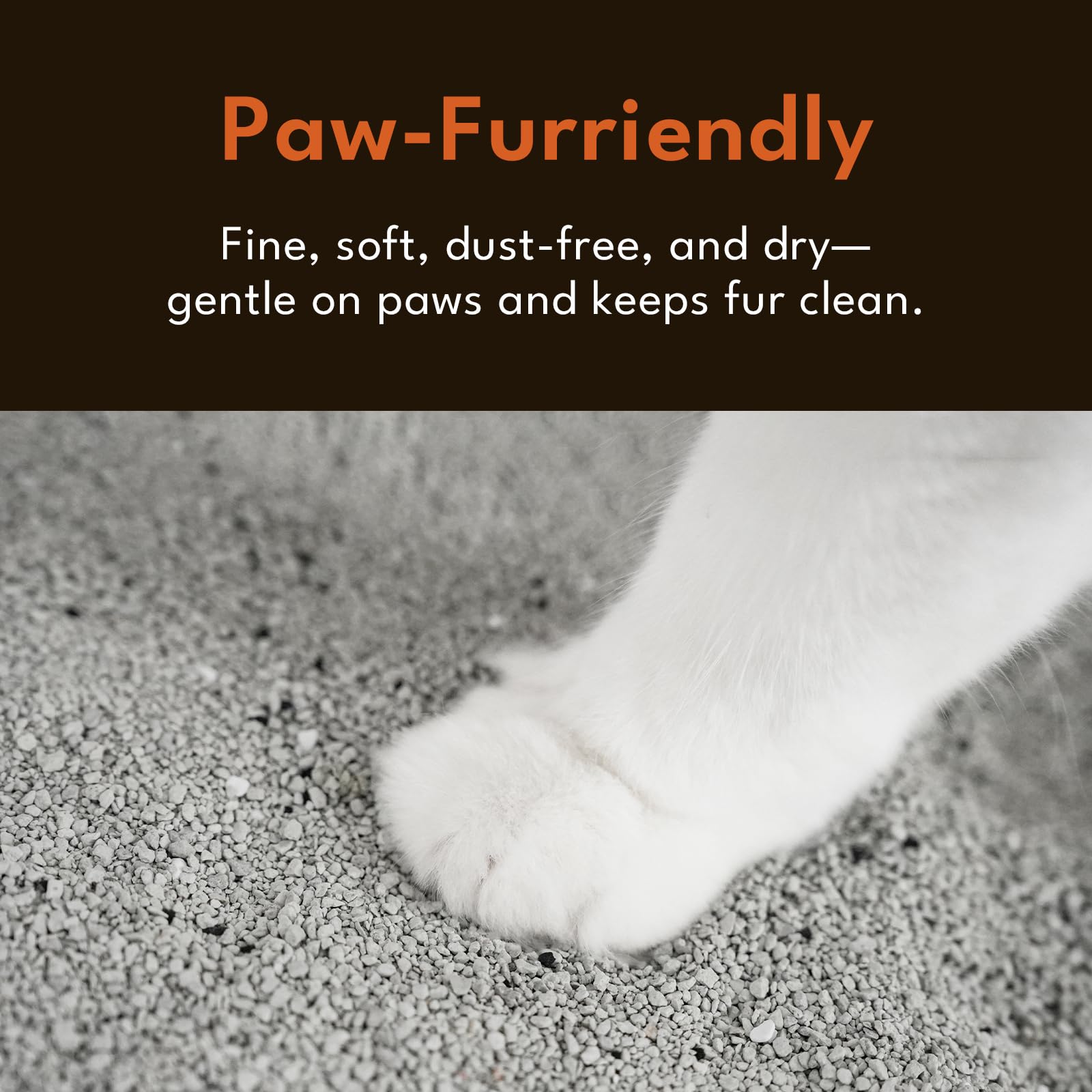 PetSnowy Arena aglutinante para gatos, control de olores, ahorro de arena, arcilla 100% natural, aglomeración, bajo polvo, rápida aglomeración, 24 libras